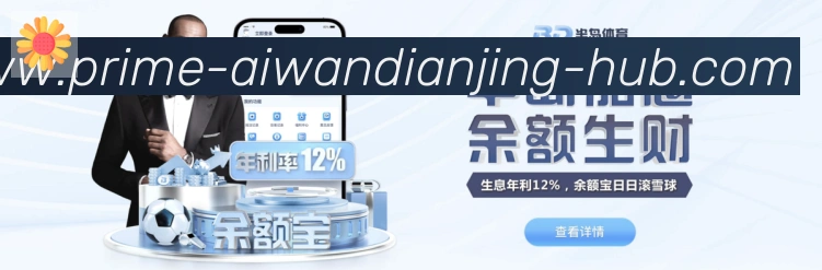 登录器